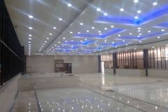 Delightful Hallways Translucent Ties